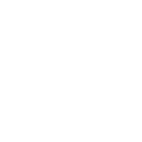 white_logo_transparent